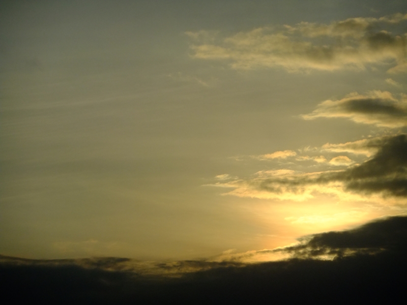 d0194191_2023982.jpg