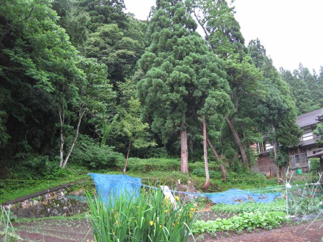 f0016892_18333126.jpg