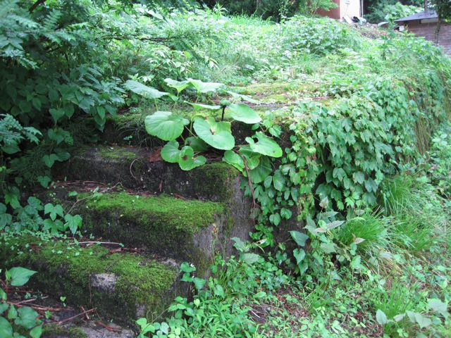 f0016892_19313050.jpg