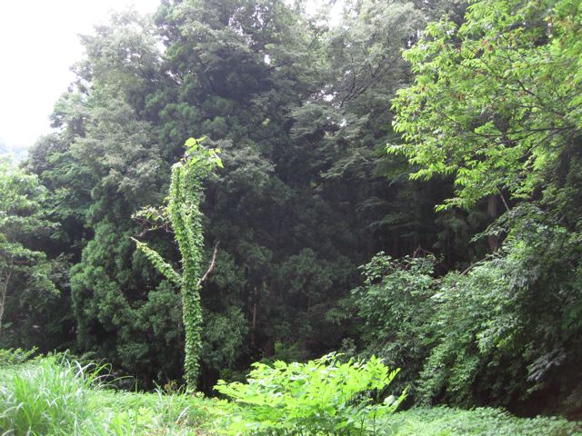 f0016892_19324560.jpg