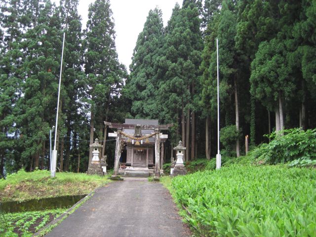 f0016892_19463574.jpg