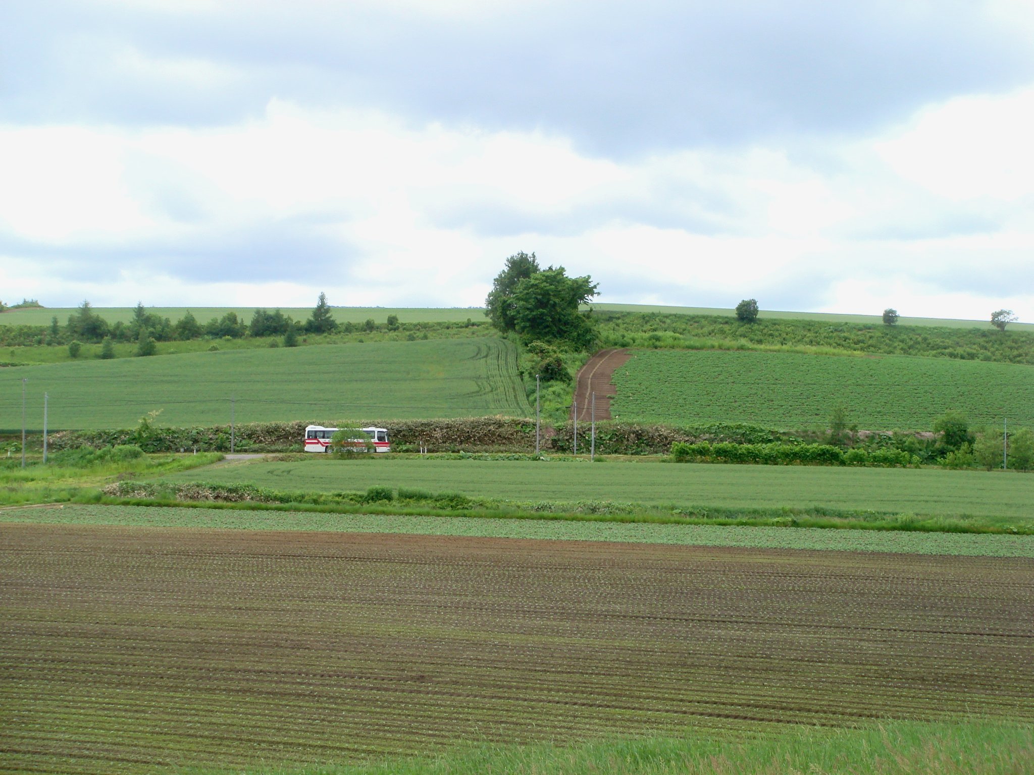 e0111793_14473137.jpg