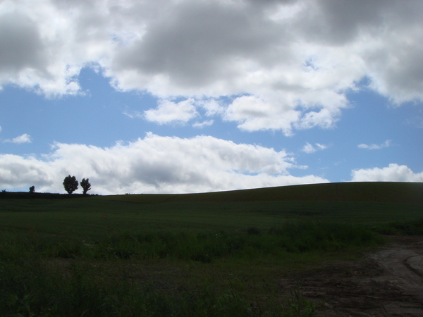 e0111793_1513130.jpg