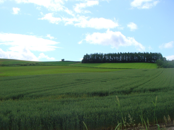 e0111793_15131558.jpg