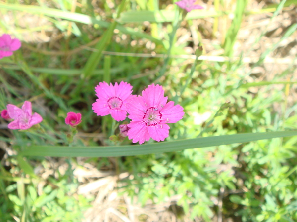 e0111793_15135334.jpg