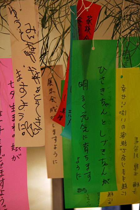 c0025895_8552515.jpg