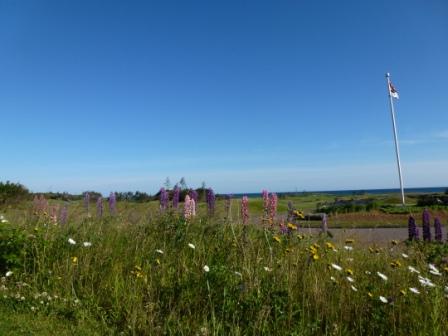 b0101096_2504826.jpg
