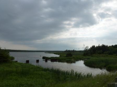 b0101096_482266.jpg