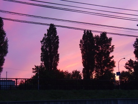 f0077697_1782430.jpg