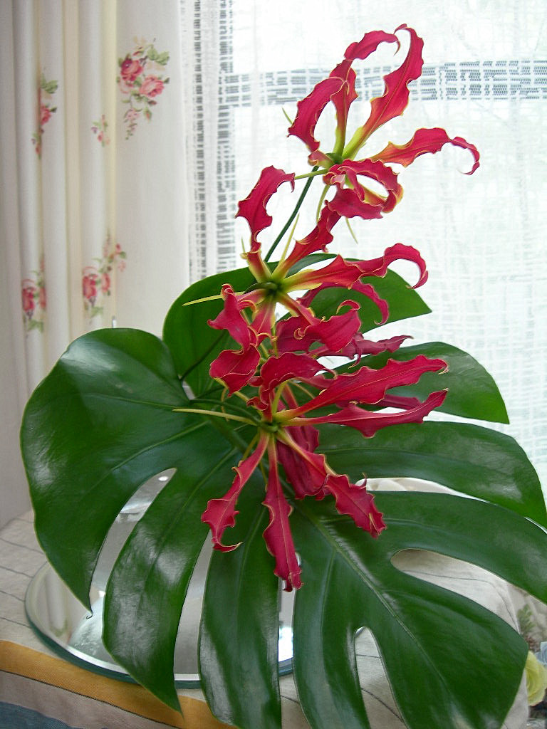 c0220700_21365182.jpg