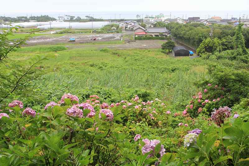 a0188405_8373377.jpg