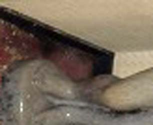 e0103408_2051395.jpg