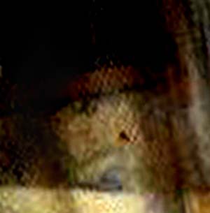 e0103408_2055818.jpg
