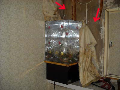 e0103408_20726.jpg