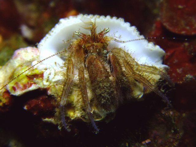 d0175710_9415746.jpg