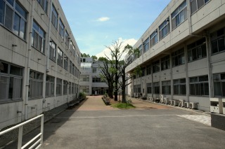 c0166720_1762239.jpg