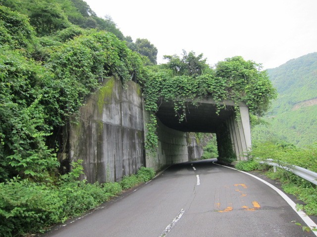 c0225420_2039554.jpg