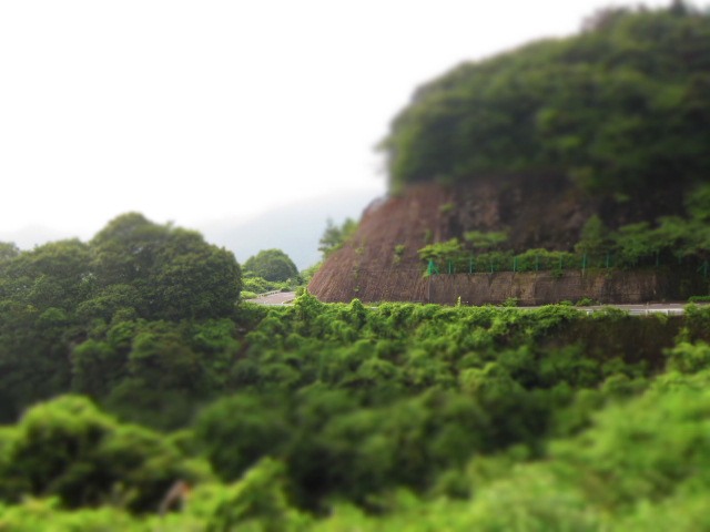 c0225420_20484533.jpg