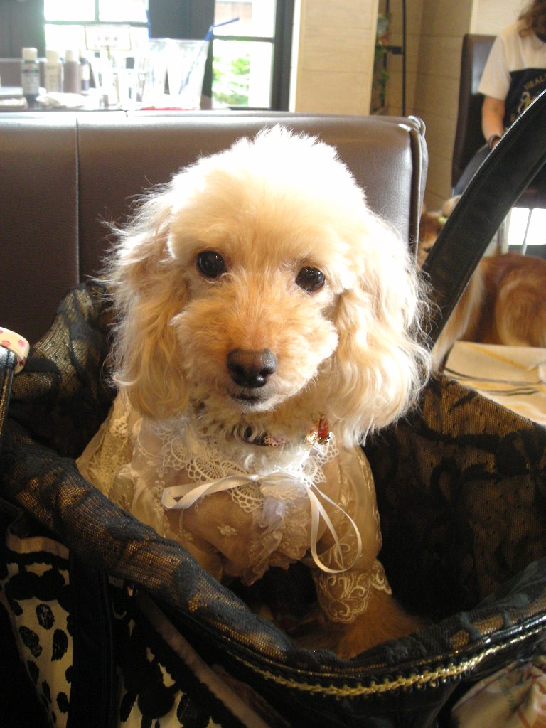 c0149622_1343272.jpg