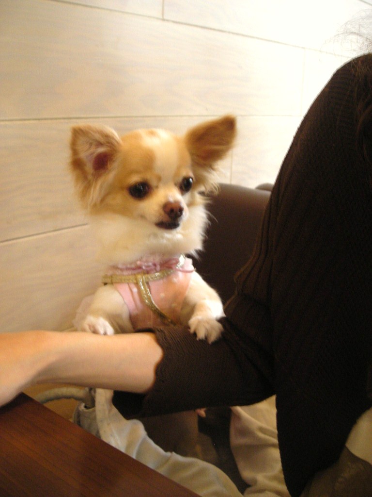 c0149622_13442886.jpg