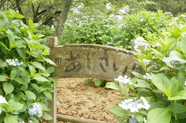 b0173224_17253117.jpg