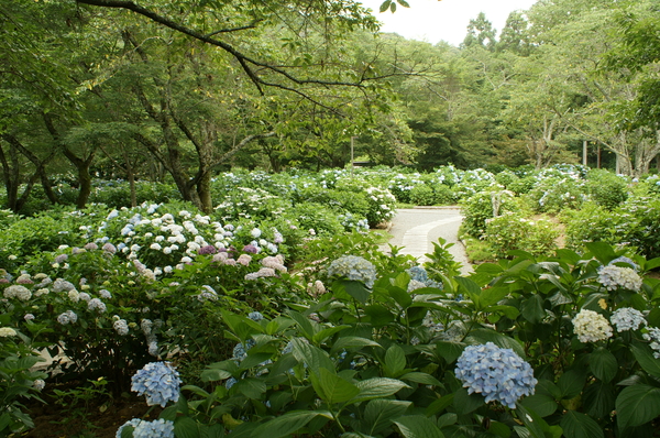 b0173224_1726453.jpg