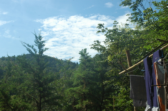 d0241833_16475346.jpg