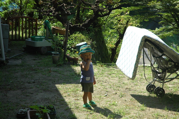 d0241833_16492826.jpg