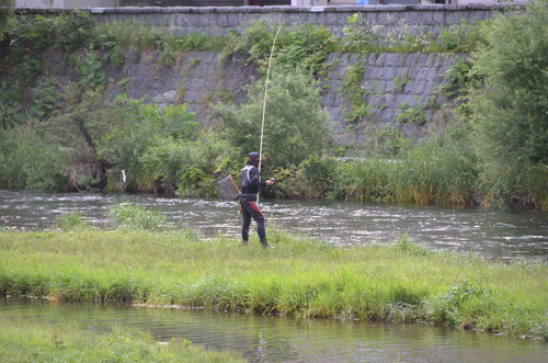 d0156438_100505.jpg