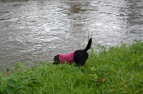 d0156438_1091151.jpg