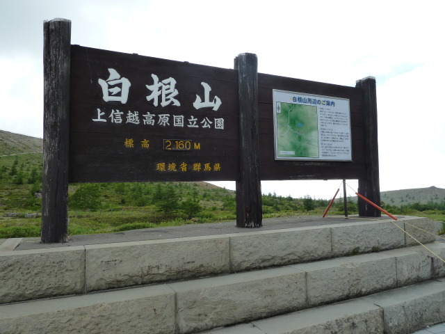 b0190242_16243029.jpg