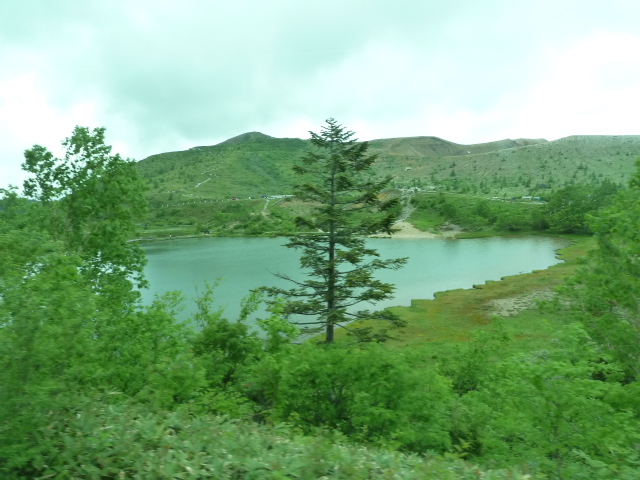 b0190242_16252973.jpg