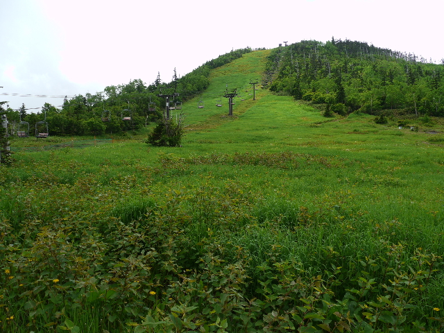 b0190242_16264568.jpg