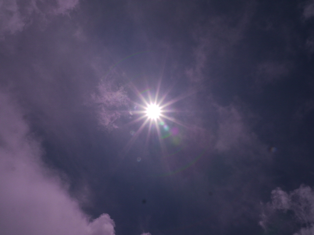 b0190242_16273595.jpg