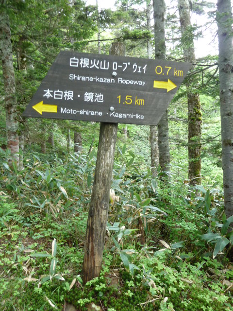 b0190242_16323848.jpg