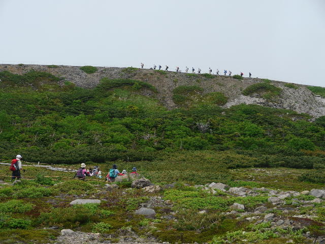 b0190242_16355757.jpg
