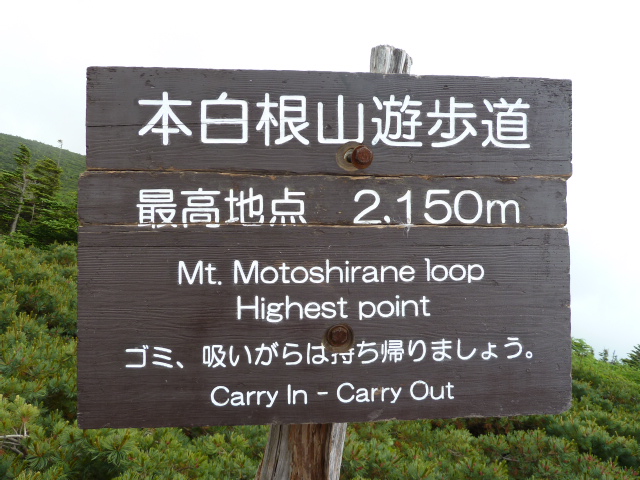 b0190242_163749100.jpg