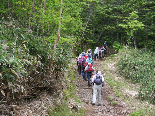 b0190242_16385125.jpg