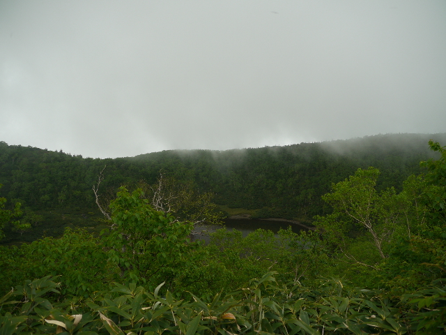 b0190242_16414498.jpg