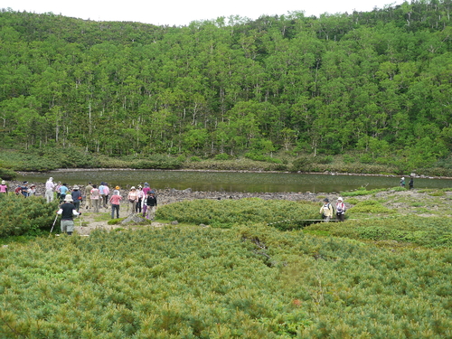 b0190242_16432887.jpg