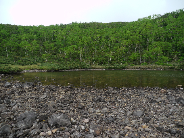 b0190242_16443547.jpg