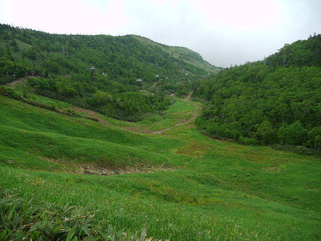 b0190242_16472740.jpg