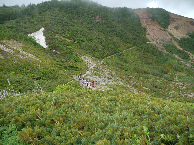 b0190242_16495494.jpg