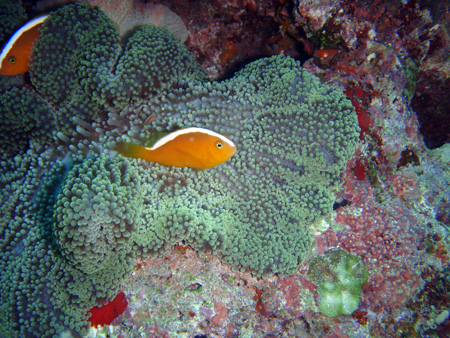 f0014842_20431120.jpg