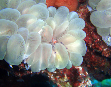 f0014842_20432472.jpg