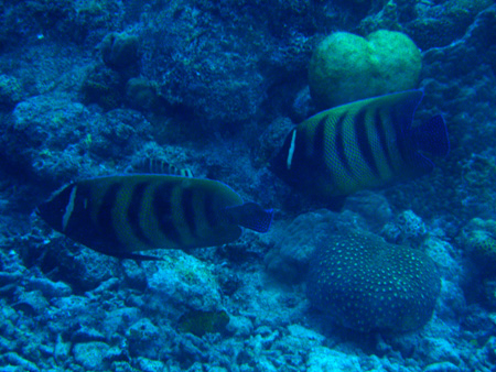 f0014842_20433264.jpg