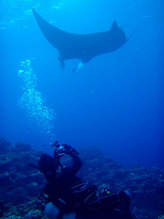 f0014842_20465644.jpg