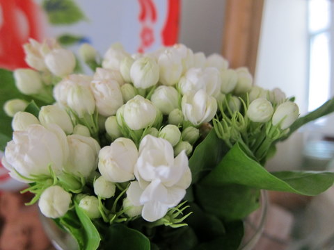 e0018143_3354172.jpg