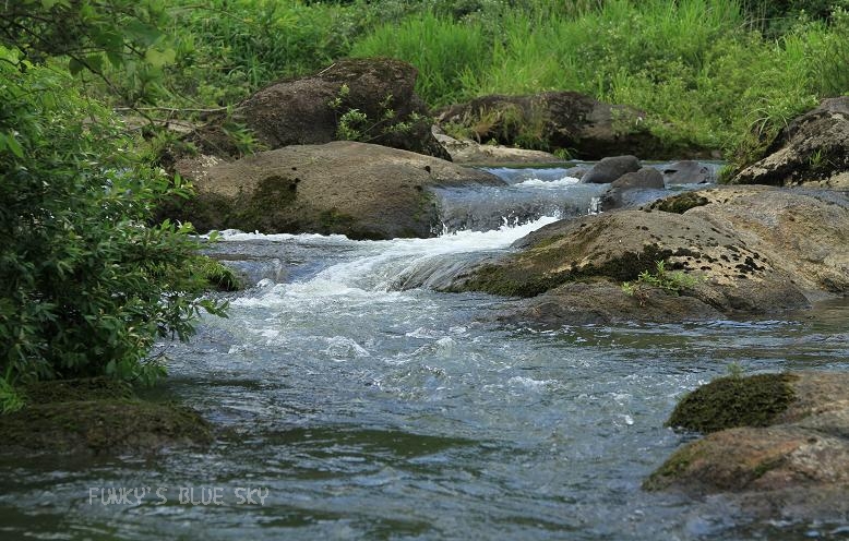 c0145250_15554192.jpg