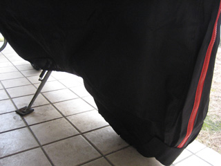 a0052952_1547747.jpg